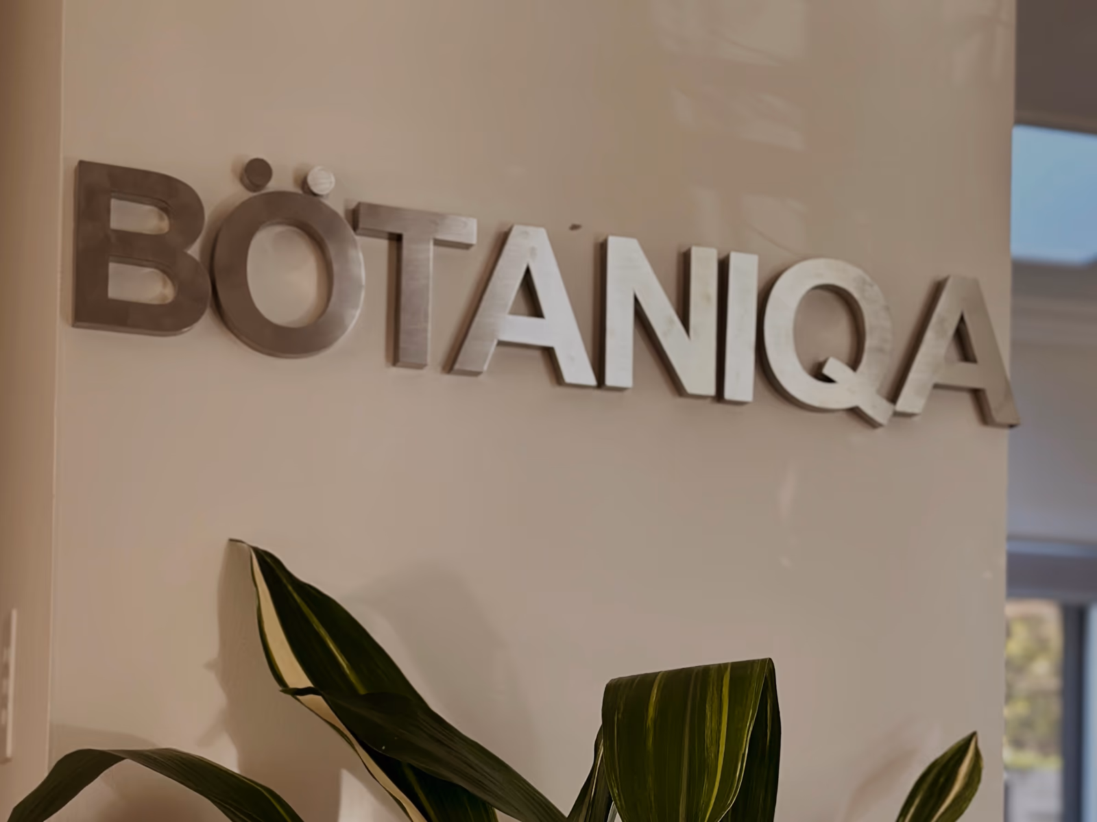 The brushed-metal BÖTANIQA wordmark on a cream wall above a leafy cast-iron plant
