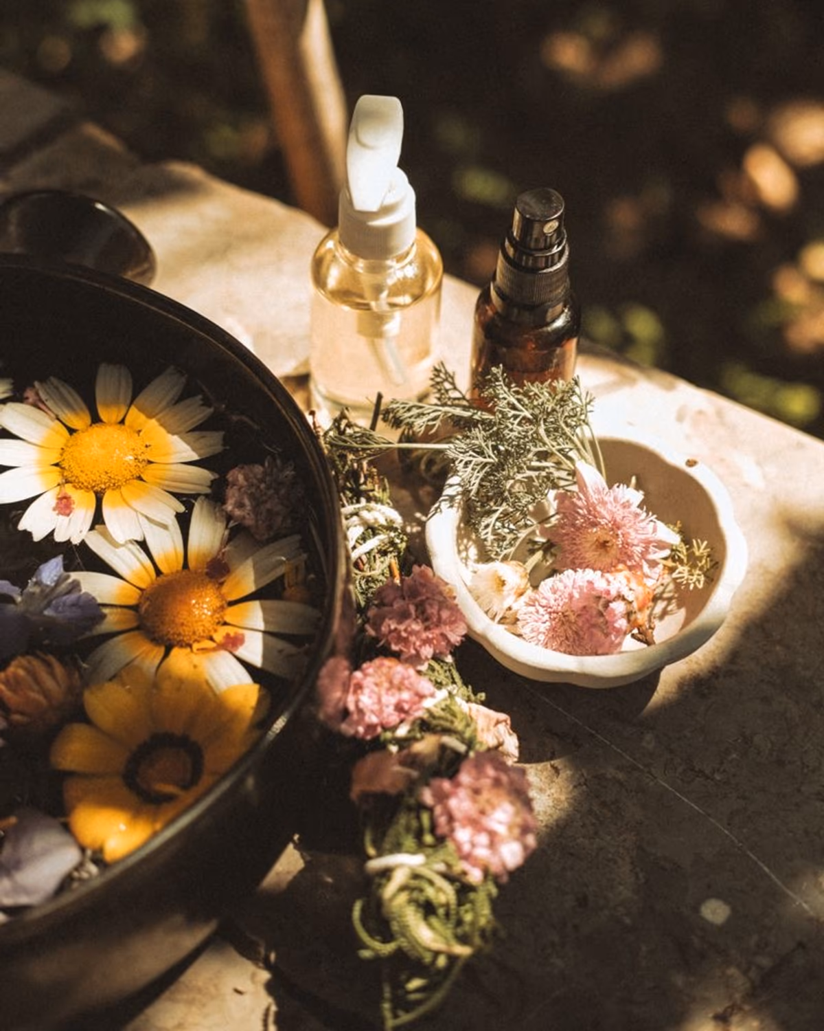 An apothecary still life in dappled sunlight — daisies floating in a black bowl with amber and clear glass bottles and a small bouquet of pink statice, a quiet ceremonial moment