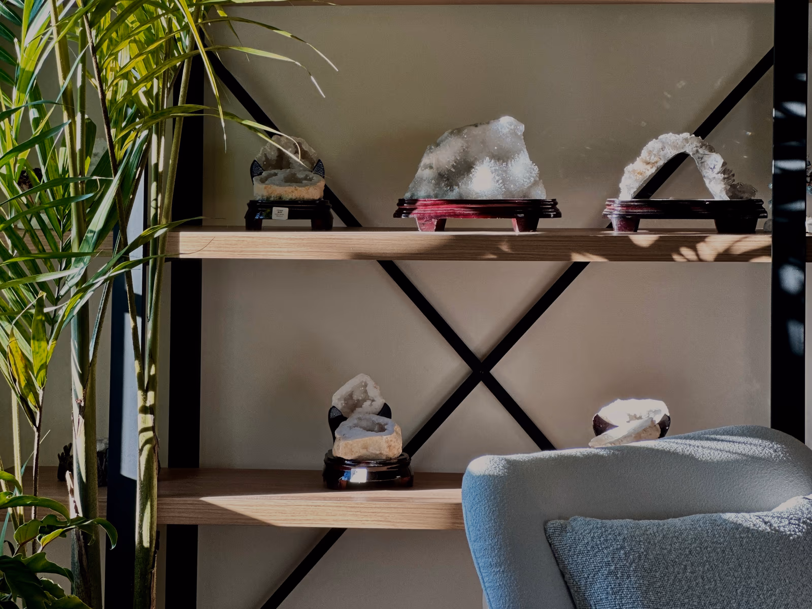 Crystal specimens on timber shelves beside a tall palm against a sage-green wall