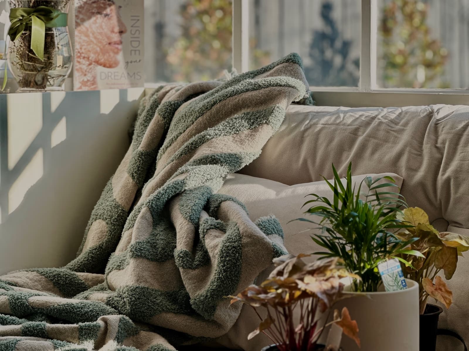 A linen sofa with a soft green-and-cream blanket beneath a sunlit window in the Bötaniqa studio